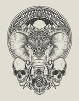 illustration elephant head engraving style with skull vector