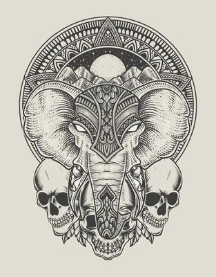 illustration elephant head engraving style with skull