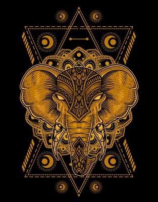 illustration elephant head engraving style with sacred geometry