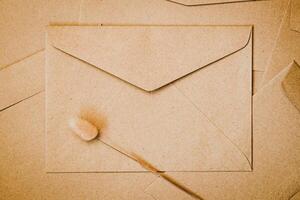Brown paper envelope with Rabbit tail dry flower. Close-up of Craft envelope. Flat lay minimalism. photo