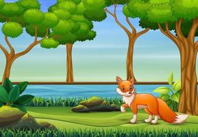 Fox cartoon playing in the jungle vector