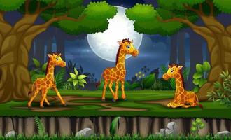 Cartoon three giraffes enjoying at the night landscape vector