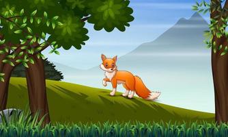 A fox looking for prey on the hill vector