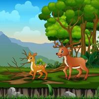 Family wild reindeer in the forest landscape vector