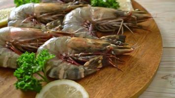 fresh tiger prawn or shrimp on wood board video