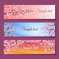 Spring Cherry Blossom Floral Banner vector