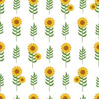 patrón sin costuras de girasol, los girasoles crecen en el campo. ilustración floral botánica para fondos, embalaje, tarjetas de felicitación, textil y diseño estacional. aislado sobre fondo blanco. vector