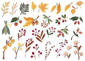 hojas de otoño y bayas. gran conjunto de varias hojas de otoño ramitas bayas y flores secas. ilustración de vector de dibujos animados dibujados a mano aislado sobre fondo blanco