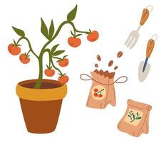 tomates y semillas. plántulas paquetes de semillas. bolsa de abono orgánico. cultivando vegetales. concepto de alimentación saludable, jardinería primaveral, agricultura. ilustración vectorial de dibujos animados vector