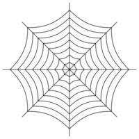 spider web vector
