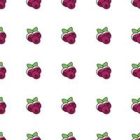 cranberry seamless pattern. vector illustration