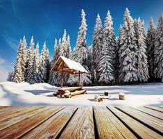 Winter landscape on a sunset. Mountains Carpathians photo