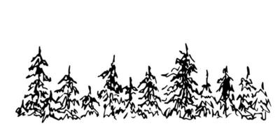 dibujo vectorial simple dibujado a mano. coníferas, abetos, pinos, paisaje horizontal, bosque denso. fauna del norte. boceto panorámico en tinta. vector