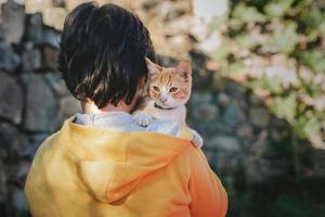 Back view of child with kitten photo