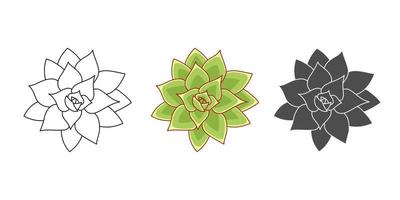 Set succulent echeveria agavoides - color green, doodle, simple. Collection isolated element on white background. Home plant for print and design. Desert flower hand drawn, vector illustration