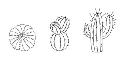 Cactus set from the desert in doodle style. Succulent drawn by line. Graphic sketch home plant. Vector illustration, isolated black elements for printing and design. Silhouette of a Mexican flower