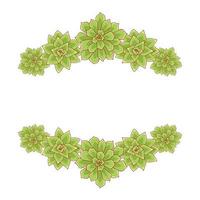 Succulent echeveria vector frame. Hand drawn desert flower illustration in flat style. Set silhouette succulents on a white background. Border from plants for print and design.