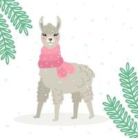 Christmas card with a cute gray llama or alpaca in winter, in a warm scarf. Decorated with spruce branches. Vector cozy illustration.