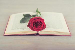 rose in a book photo