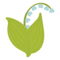 Lily of the valley. Vector illustration of a spring flower