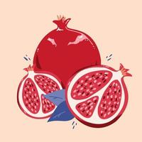 Modern pomegranate in hand drawn style. Vector illustration