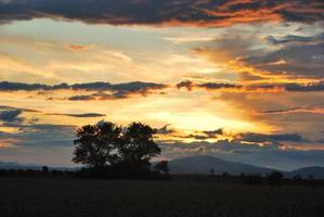 sunset and field photo