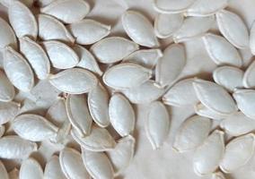 las semillas de calabaza están sobre la mesa. patrón natural fondo monocromo. comida.