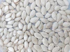 zucchini seeds are prepared for planting. seed soaking. gardening photo