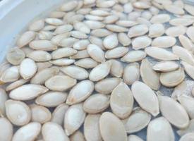 zucchini seeds are prepared for planting. seed soaking. gardening photo