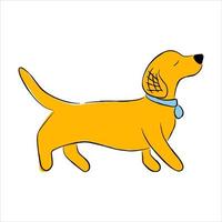 Cute cartoon puppy dachshund walking vector