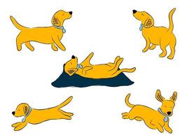 Set of cartoon playful dachshunds vector