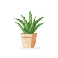 Flower in pot isolated on white background vector