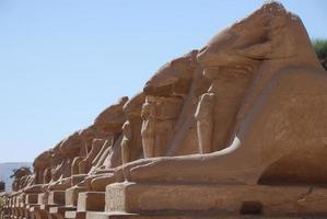 entrance in a temple from egypt photo