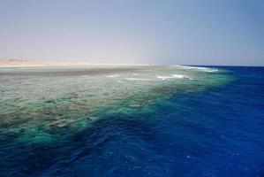 enorme arrecife de coral foto