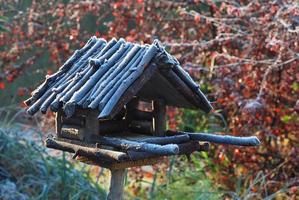 frozen aviary with food for winter birds