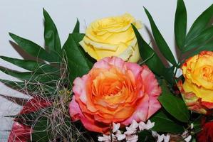 beautiful rose bouquet photo
