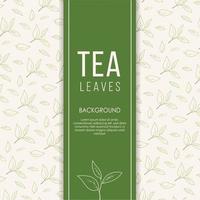 fondo de hojas de té en vector de estilo dibujado a mano. diseño de envases, carta de bebidas, aromaterapia y productos de té. con lugar para texto.