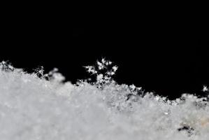 snow crystals close up view photo