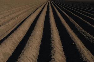 tierras de cultivo con líneas centrales foto