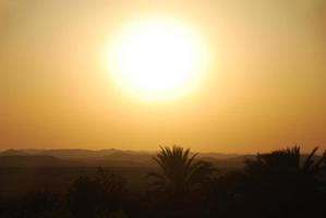 puesta de sol con palmeras y montaña foto