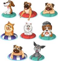 conjunto de perros en anillo flotante vector