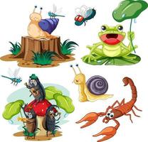 conjunto de diferentes animales invertebrados en estilo de dibujos animados