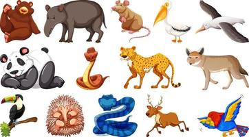 Set of different wild animals cartoon characters vector