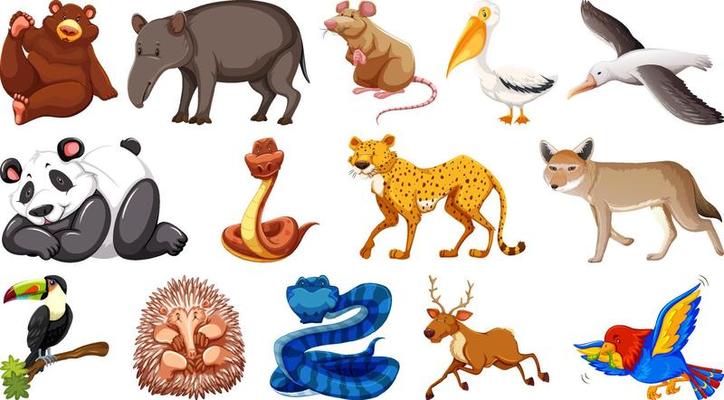 Set of different wild animals cartoon characters