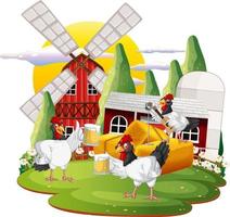 An isolated scene with a group of chickens in cartoon style vector