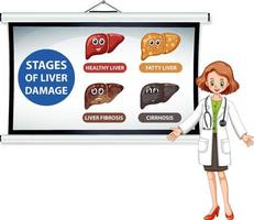 Diagram showing stages of liver damage vector