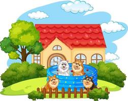 Dogs having fun in the pool at home vector