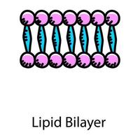 Human cell, lipid bilayer doodle icon vector