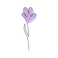 One continuous single line of Crocus spring flower with blue color vector