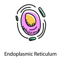 Endoplasmic reticulum hand drawn icon, editable vector